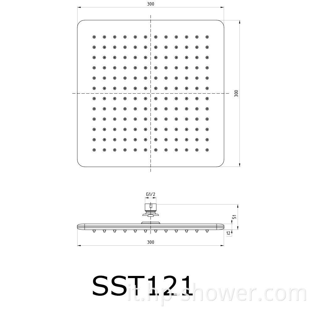 Stainless Steel Shower Head